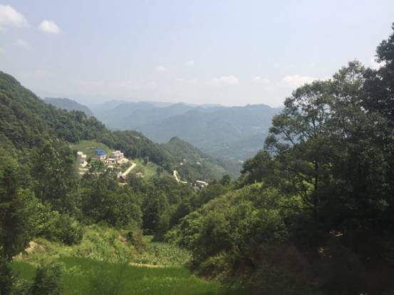 微信图片_20180827104120